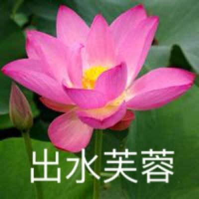 果盘御龙弑天手游下载